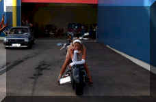 Dsc_6149_kl.jpg (83434 bytes)