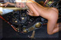 Sinsheim Model 2 2008 166.jpg (115779 bytes)